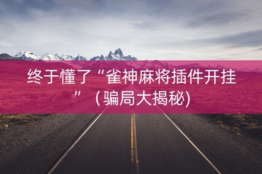 终于懂了“雀神麻将插件开挂”（骗局大揭秘)