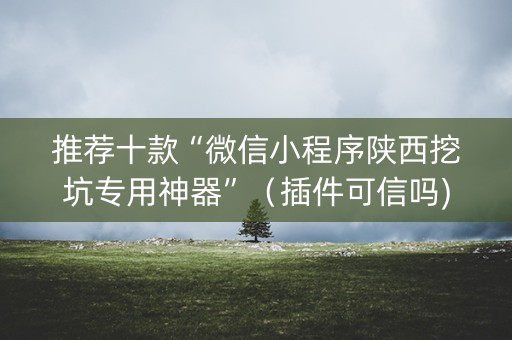 推荐十款“微信小程序陕西挖坑专用神器”（插件可信吗)