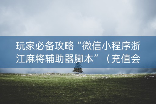 玩家必备攻略“微信小程序浙江麻将辅助器脚本”（充值会提高胜率么)