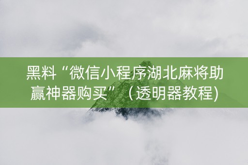 黑料“微信小程序湖北麻将助赢神器购买”（透明器教程)