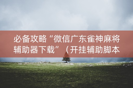 必备攻略“微信广东雀神麻将辅助器下载”（开挂辅助脚本)