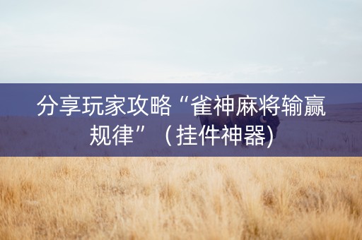 分享玩家攻略“雀神麻将输赢规律”（挂件神器)
