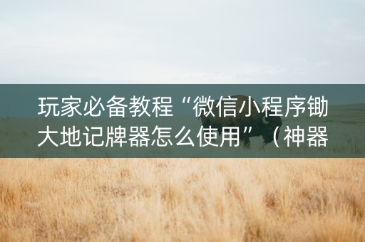 玩家必备教程“微信小程序锄大地记牌器怎么使用”（神器最新免费)