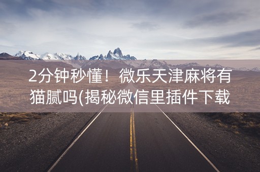 2分钟秒懂！微乐天津麻将有猫腻吗(揭秘微信里插件下载)