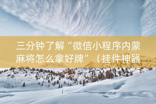 三分钟了解“微信小程序内蒙麻将怎么拿好牌”（挂件神器)