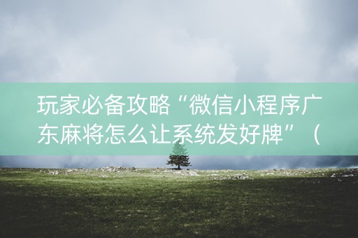玩家必备攻略“微信小程序广东麻将怎么让系统发好牌”（怎么设置能有好牌)