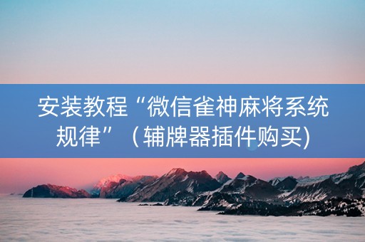 安装教程“微信雀神麻将系统规律”（辅牌器插件购买)