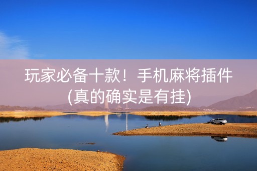 玩家必备十款！手机麻将插件(真的确实是有挂)