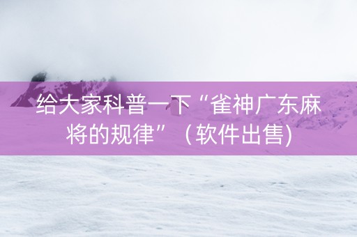 给大家科普一下“雀神广东麻将的规律”（软件出售)