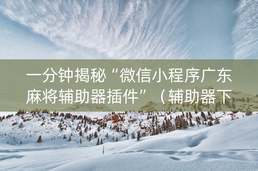 一分钟揭秘“微信小程序广东麻将辅助器插件”（辅助器下载)