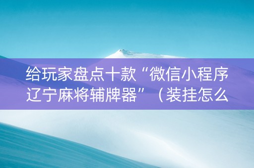 给玩家盘点十款“微信小程序辽宁麻将辅牌器”（装挂怎么安装)