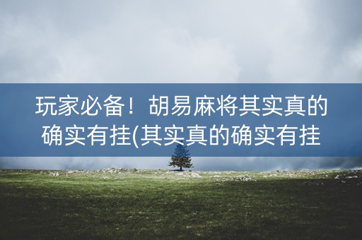 玩家必备！胡易麻将其实真的确实有挂(其实真的确实有挂)