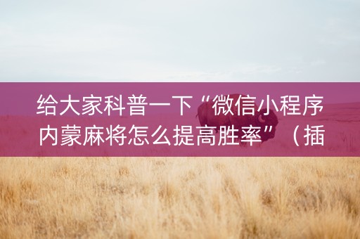 给大家科普一下“微信小程序内蒙麻将怎么提高胜率”（插件可信吗)