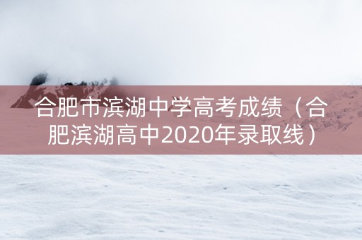 合肥市滨湖中学高考成绩（合肥滨湖高中2020年录取线）