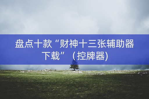 盘点十款“财神十三张辅助器下载”（控牌器)