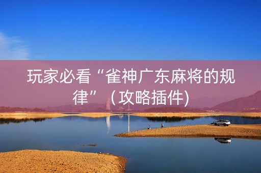 玩家必看“雀神广东麻将的规律”（攻略插件)