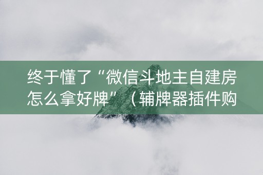 终于懂了“微信斗地主自建房怎么拿好牌”（辅牌器插件购买)