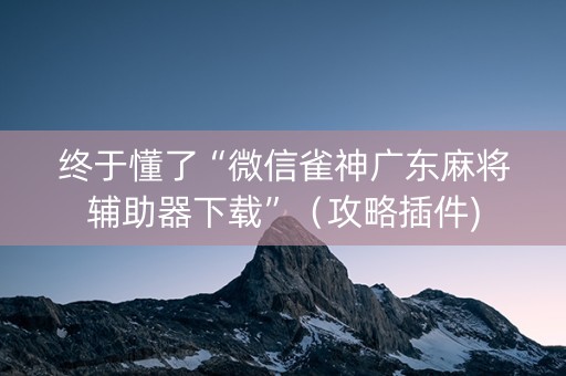 终于懂了“微信雀神广东麻将辅助器下载”（攻略插件)