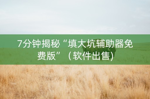 7分钟揭秘“填大坑辅助器免费版”（软件出售)