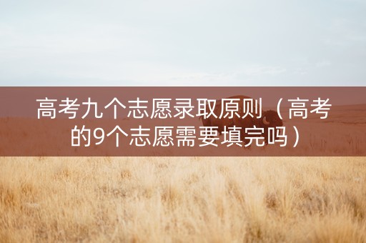 高考九个志愿录取原则（高考的9个志愿需要填完吗）