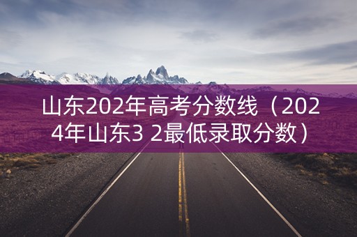 山东202年高考分数线（2024年山东3 2最低录取分数）