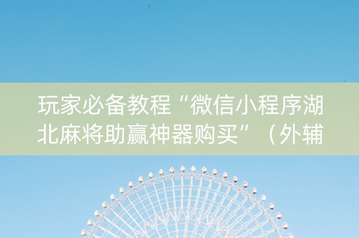 玩家必备教程“微信小程序湖北麻将助赢神器购买”（外辅工具)