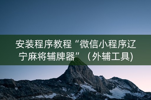 安装程序教程“微信小程序辽宁麻将辅牌器”（外辅工具)