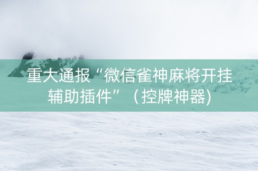 重大通报“微信雀神麻将开挂辅助插件”（控牌神器)