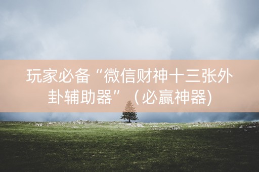 玩家必备“微信财神十三张外卦辅助器”（必赢神器)