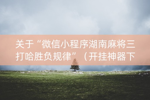 关于“微信小程序湖南麻将三打哈胜负规律”（开挂神器下载)