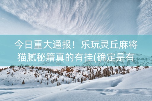今日重大通报！乐玩灵丘麻将猫腻秘籍真的有挂(确定是有挂)