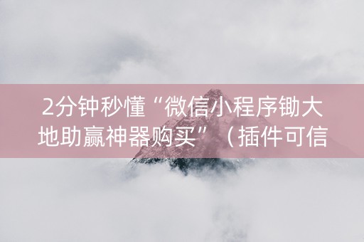 2分钟秒懂“微信小程序锄大地助赢神器购买”（插件可信吗)