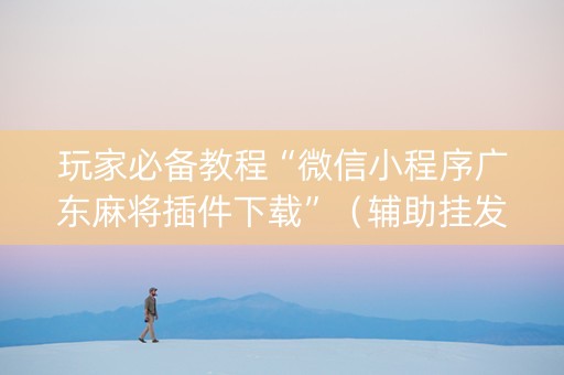 玩家必备教程“微信小程序广东麻将插件下载”（辅助挂发牌规律)