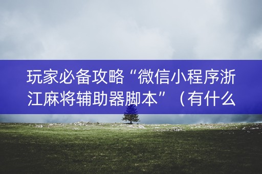 玩家必备攻略“微信小程序浙江麻将辅助器脚本”（有什么诀窍)
