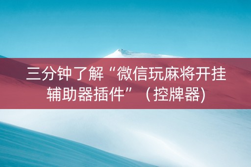 三分钟了解“微信玩麻将开挂辅助器插件”（控牌器)