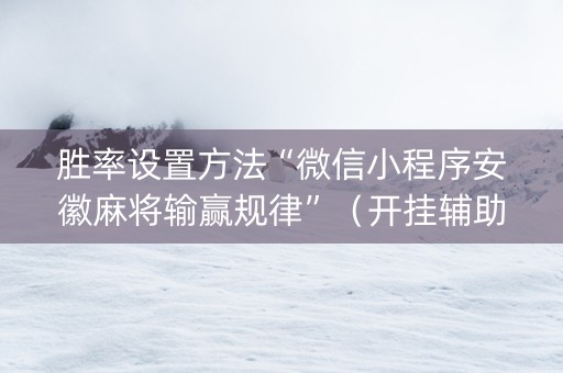 胜率设置方法“微信小程序安徽麻将输赢规律”（开挂辅助插件)