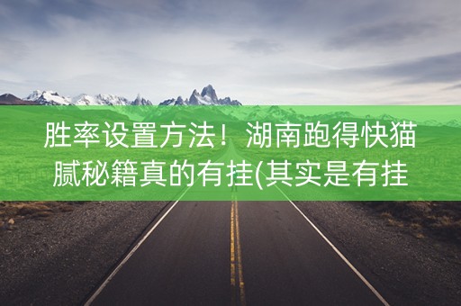 胜率设置方法！湖南跑得快猫腻秘籍真的有挂(其实是有挂确实有挂)