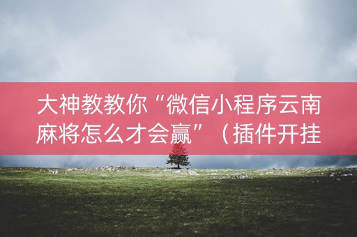大神教教你“微信小程序云南麻将怎么才会赢”（插件开挂免费AI)