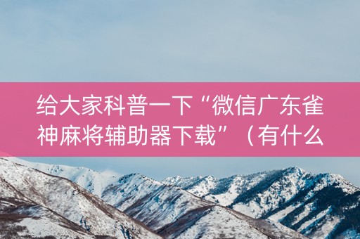 给大家科普一下“微信广东雀神麻将辅助器下载”（有什么诀窍)