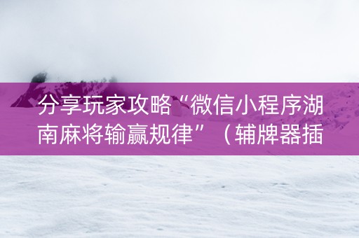 分享玩家攻略“微信小程序湖南麻将输赢规律”（辅牌器插件购买)