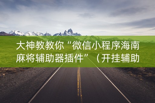 大神教教你“微信小程序海南麻将辅助器插件”（开挂辅助脚本)