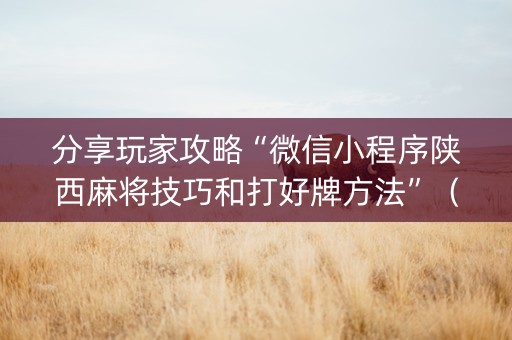 分享玩家攻略“微信小程序陕西麻将技巧和打好牌方法”（怎么控制输赢)