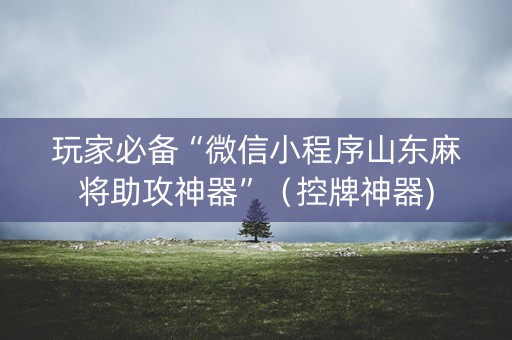 玩家必备“微信小程序山东麻将助攻神器”（控牌神器)