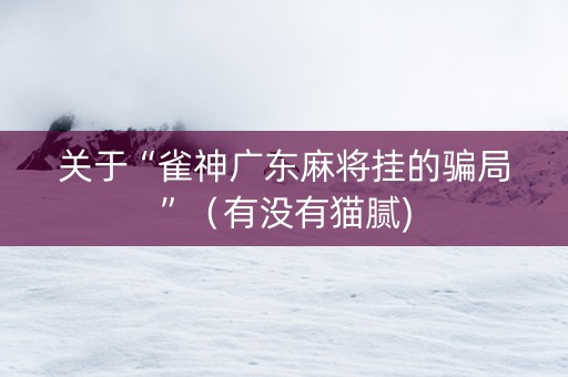 关于“雀神广东麻将挂的骗局”（有没有猫腻)