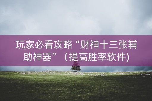 玩家必看攻略“财神十三张辅助神器”（提高胜率软件)