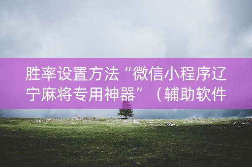 胜率设置方法“微信小程序辽宁麻将专用神器”（辅助软件)