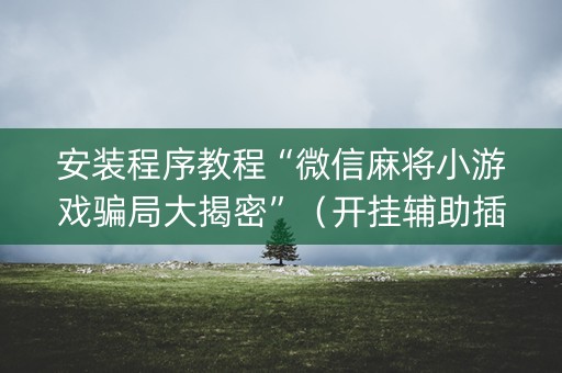 安装程序教程“微信麻将小游戏骗局大揭密”(开挂辅助插件) 安装程序教程“微信麻将小游戏骗局大揭密”(开挂辅助插件)