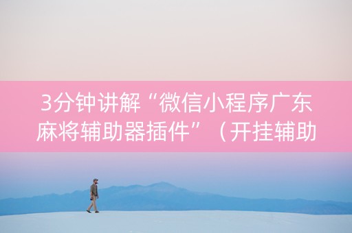 3分钟讲解“微信小程序广东麻将辅助器插件”(开挂辅助器插件) 3分钟讲解“微信小程序广东麻将辅助器插件”(开挂辅助器插件)