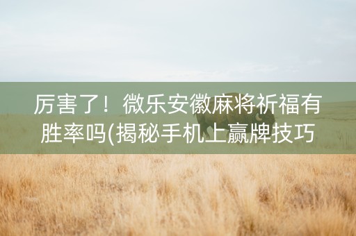 厉害了！微乐安徽麻将祈福有胜率吗(揭秘手机上赢牌技巧)