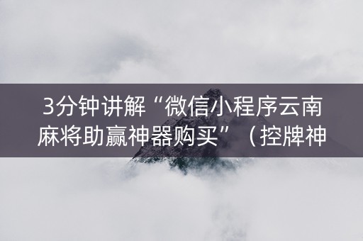 3分钟讲解“微信小程序云南麻将助赢神器购买”（控牌神器)